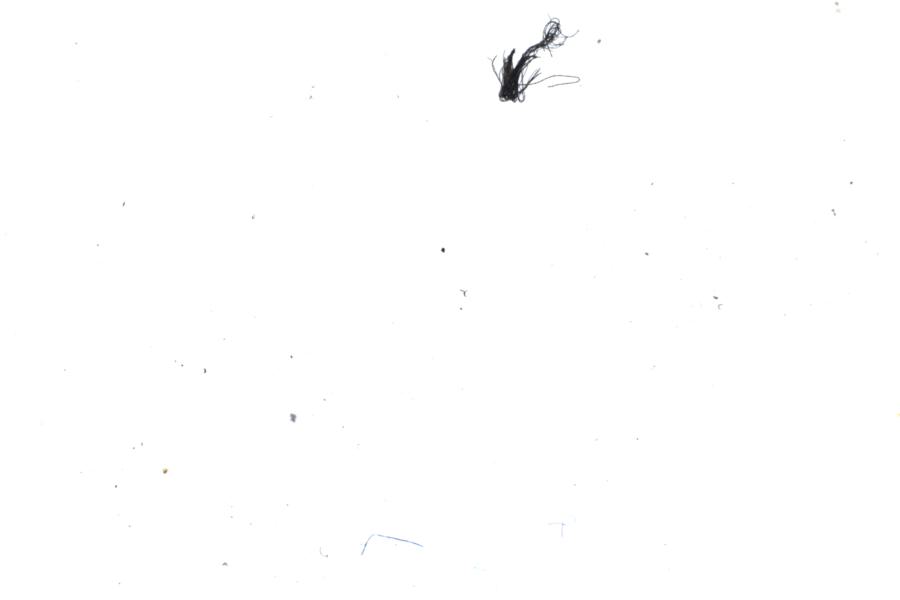 Image 26